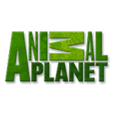 Смотреть онлайн канал Animal Planet бесплатно в хорошем качестве
