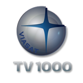 Смотреть онлайн канал TV 1000 бесплатно в хорошем качестве